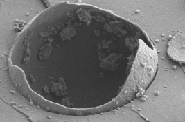 Microencapsulation Techniques for Self-healing Epoxy Adhesives